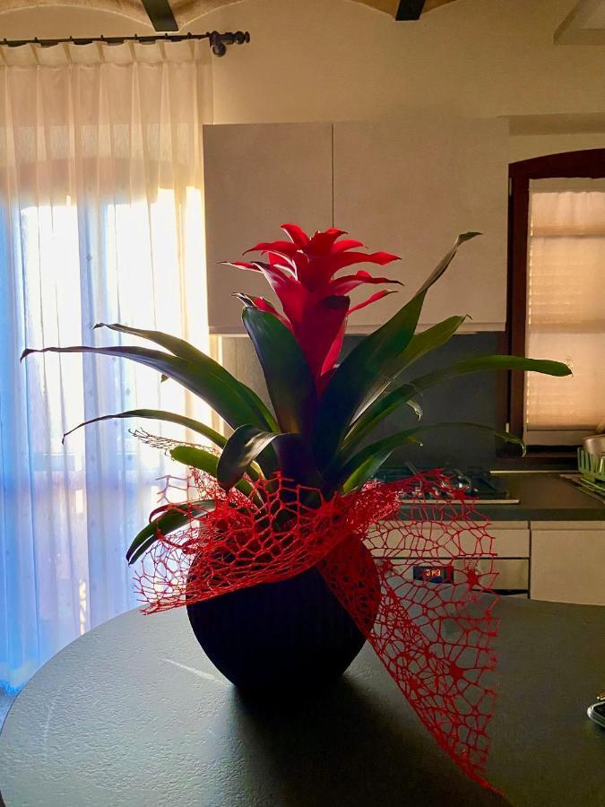 B&B Terrazza Sul Borgo Мольяно Экстерьер фото